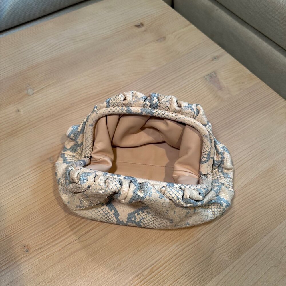 Bottega Veneta Python Clutch Pouch - image 5